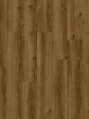 Drenthe PVC Plak Tynaarlo